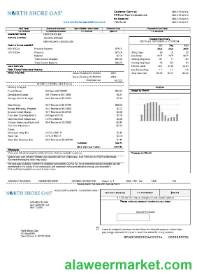 USA Illinois North Shore Gas business utility bill template in Word and PDF formats